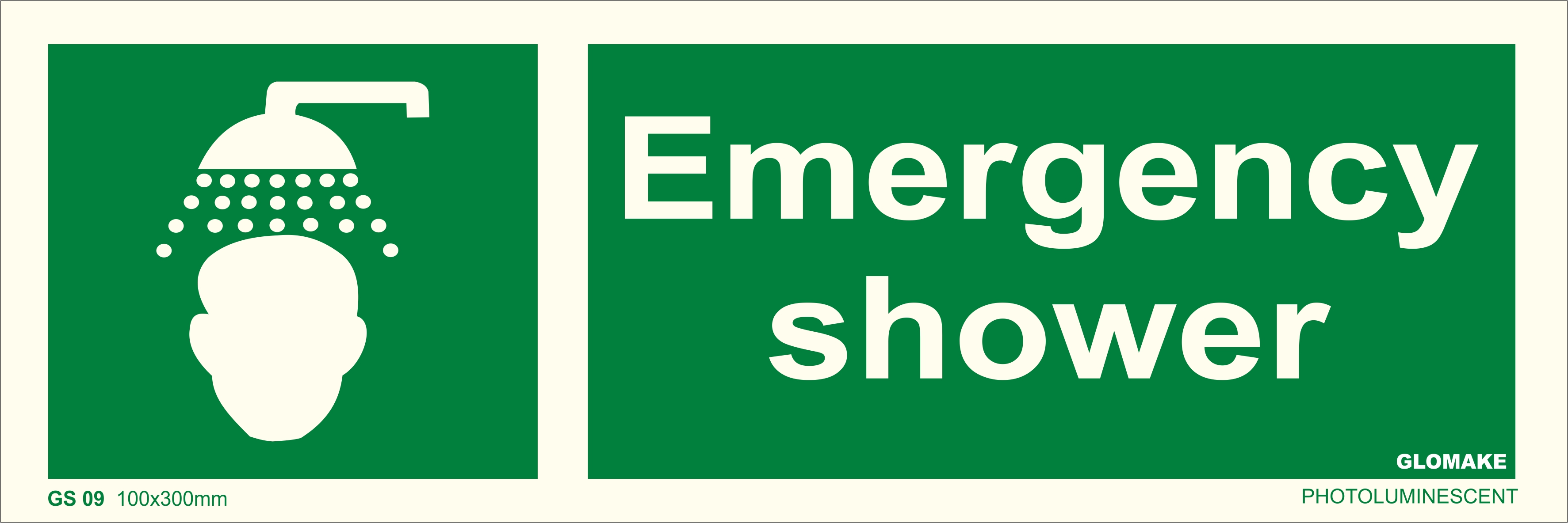 EMERGENCY STOP
(GS 09)